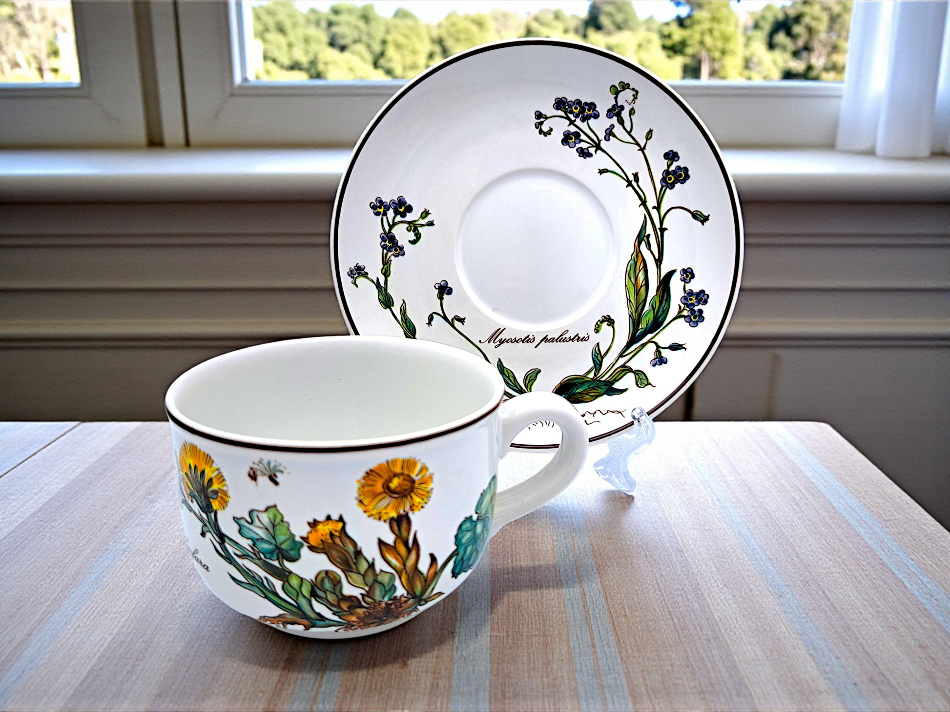 Servizio da Tè Completo per 6 Persone, Villeroy & Boch, Serie Botanica