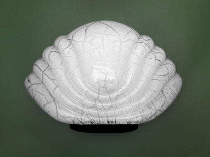 Applique a Forma di Conchiglia in Vetro di Murano