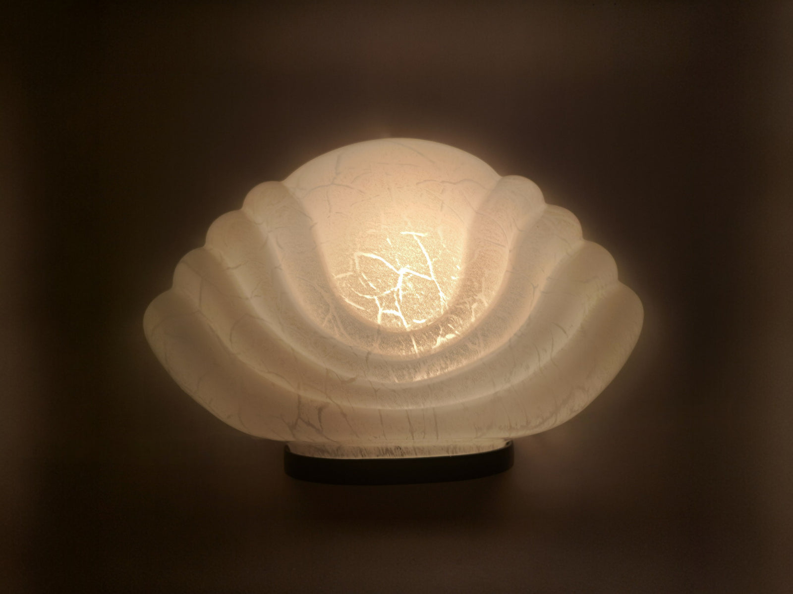 Applique a Forma di Conchiglia in Vetro di Murano