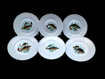 Set of 6 Fish Plates, Richard Ginori, Vecchio Ginori 
