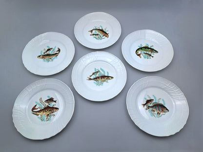 Set of 6 Fish Plates, Richard Ginori, Vecchio Ginori 