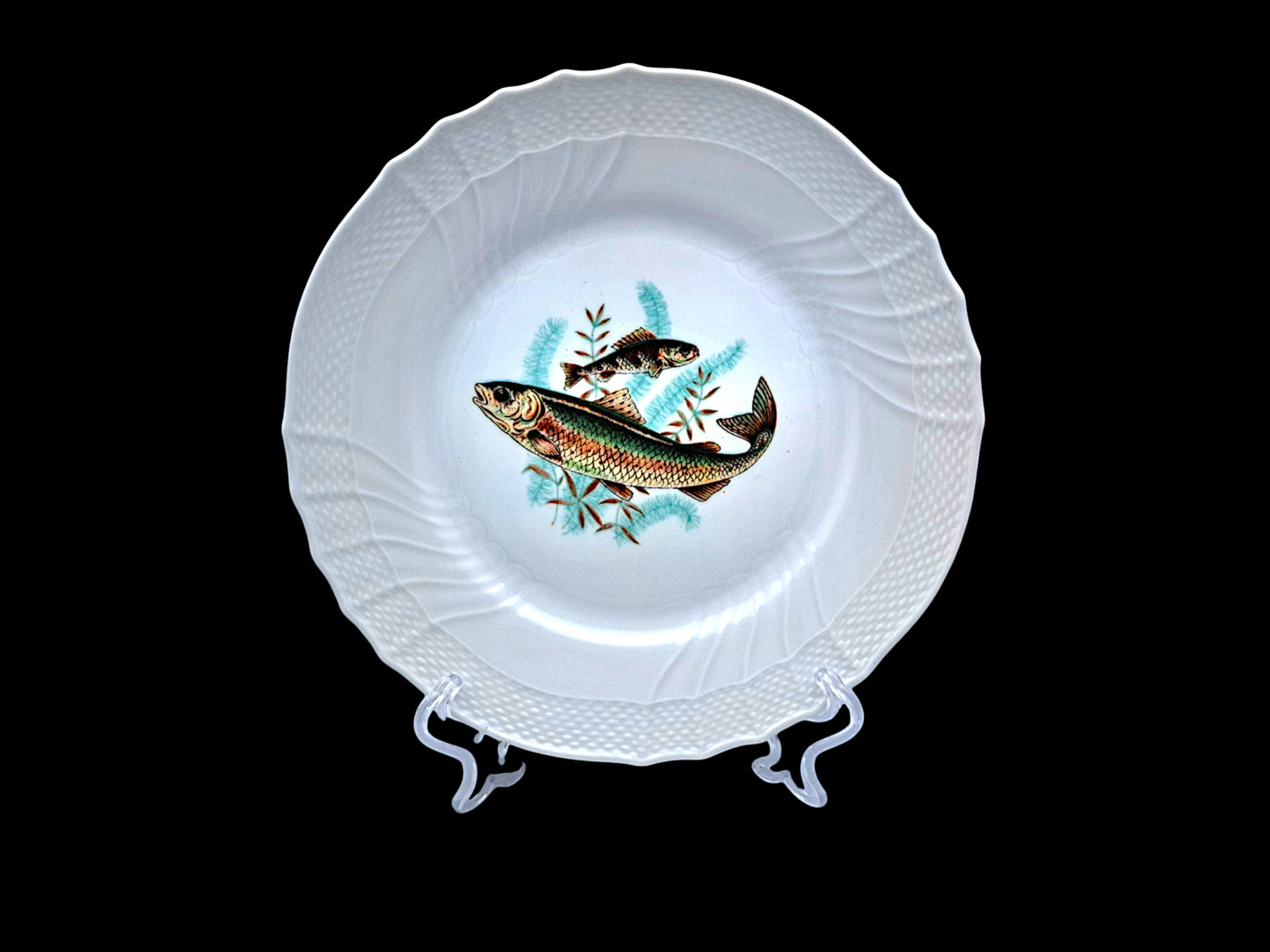 Set of 6 Fish Plates, Richard Ginori, Vecchio Ginori 