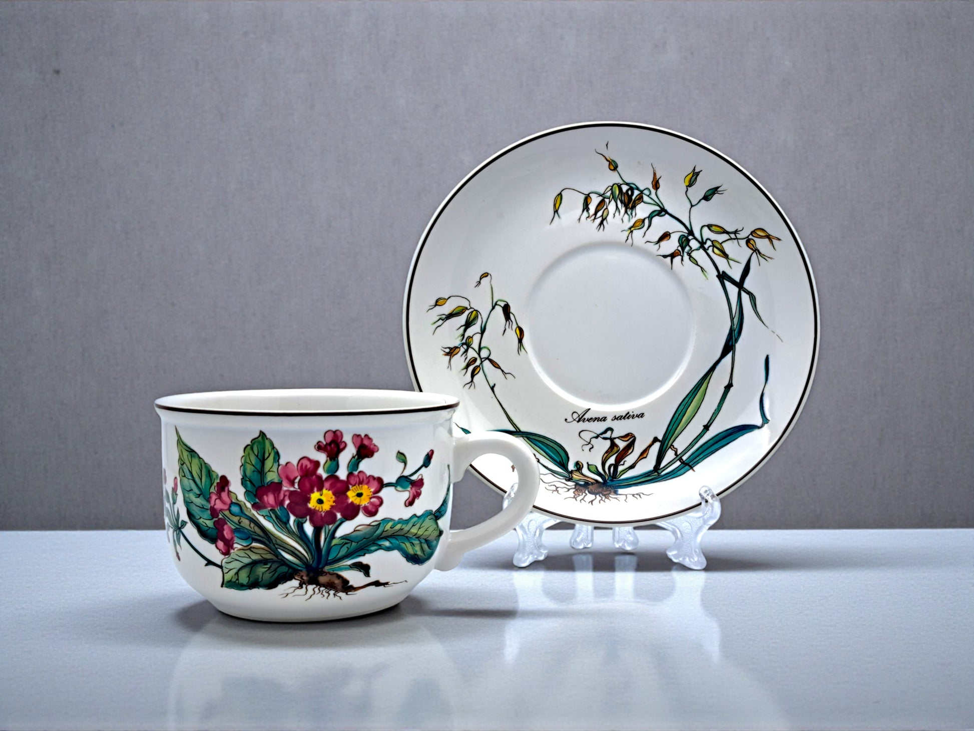 Servizio Colazione, Villeroy and Boch, Botanica