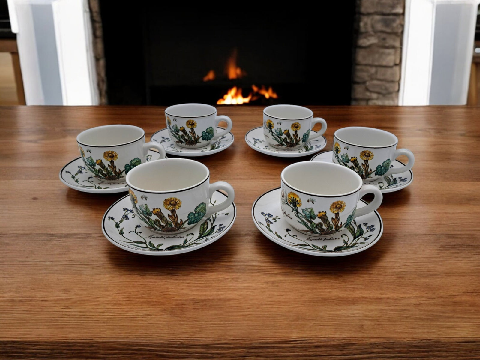Servizio 6 Tazze da Tè, Villeroy & Boch, Serie Botanica