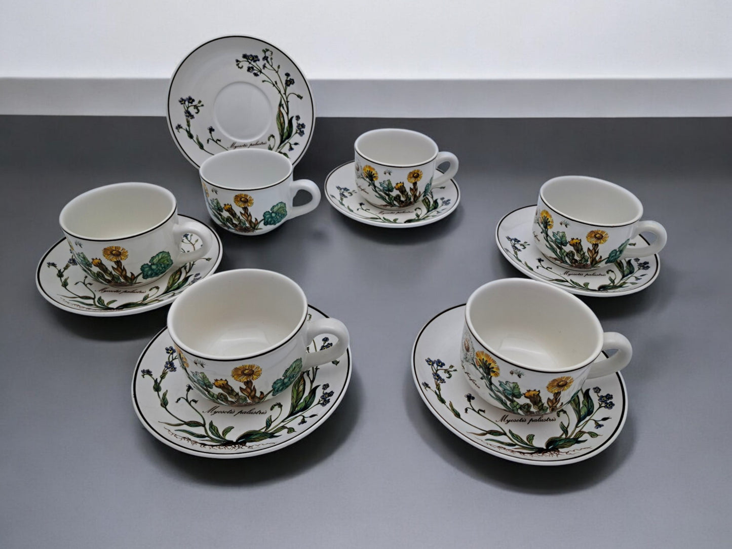 Servizio 6 Tazze da Tè, Villeroy & Boch, Serie Botanica