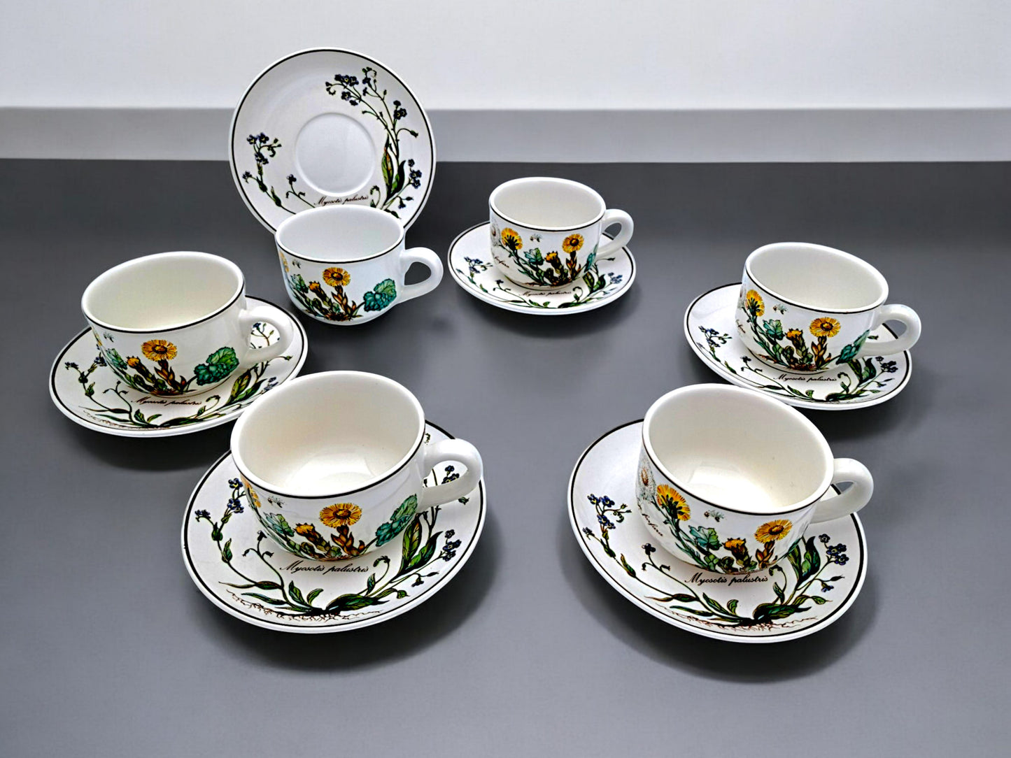 Servizio da Tè Completo per 6 Persone, Villeroy & Boch, Serie Botanica