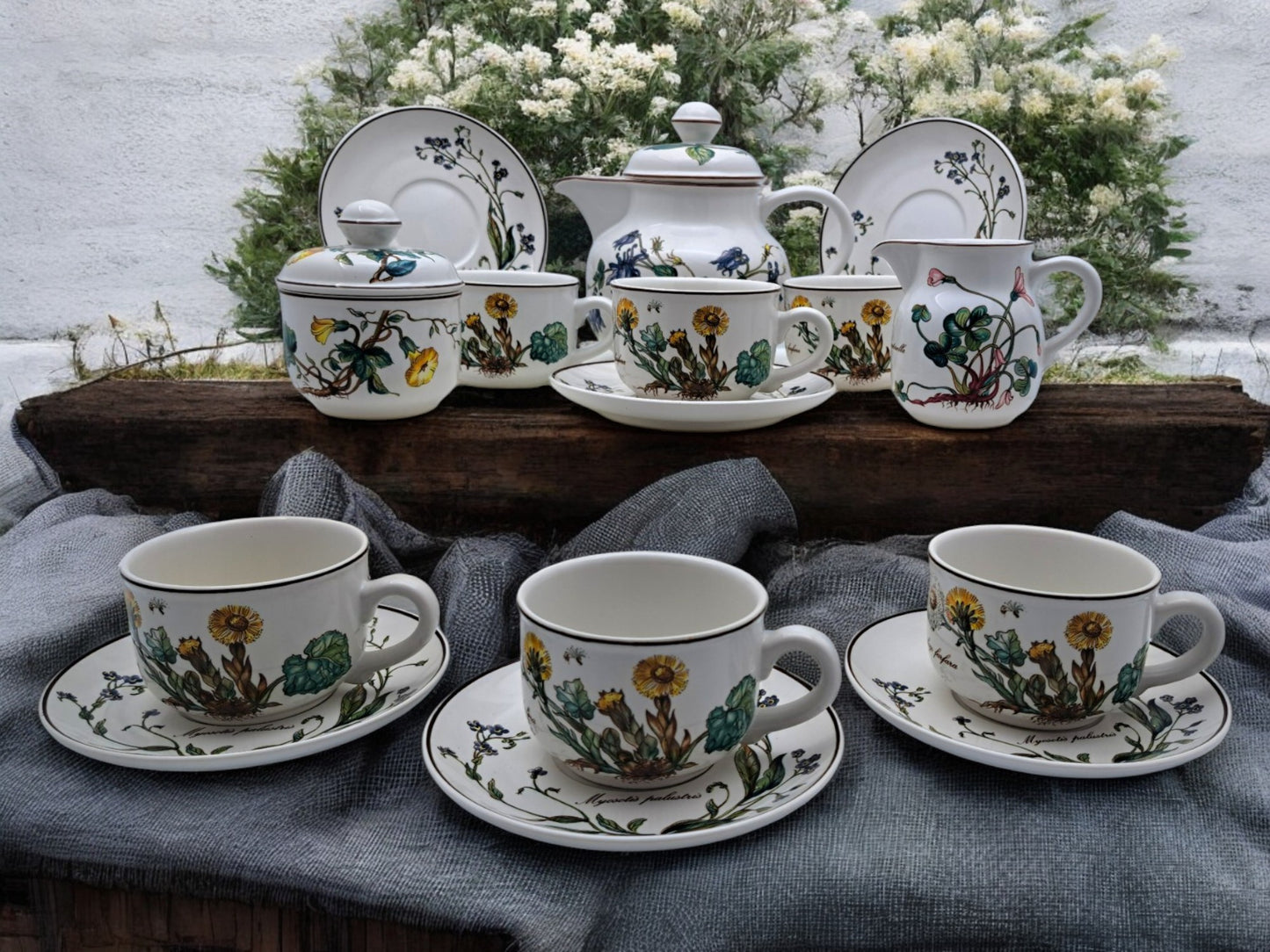 Servizio da Tè Completo per 6 Persone, Villeroy & Boch, Serie Botanica