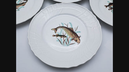 Set of 6 Fish Plates, Richard Ginori, Vecchio Ginori 